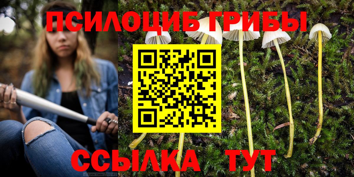 Псилоцибиновые грибы Cubensis  Вход с VPN  продажа наркотиков  Белореченск 